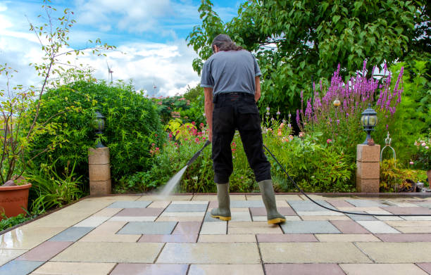Best Fence Cleaning  in Albany, LA