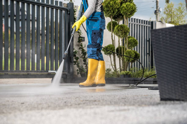 Best Dumpster Area Cleaning  in Albany, LA
